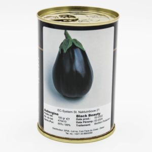 AUBERGINE BLACK BEAUTY 4000 f cfa